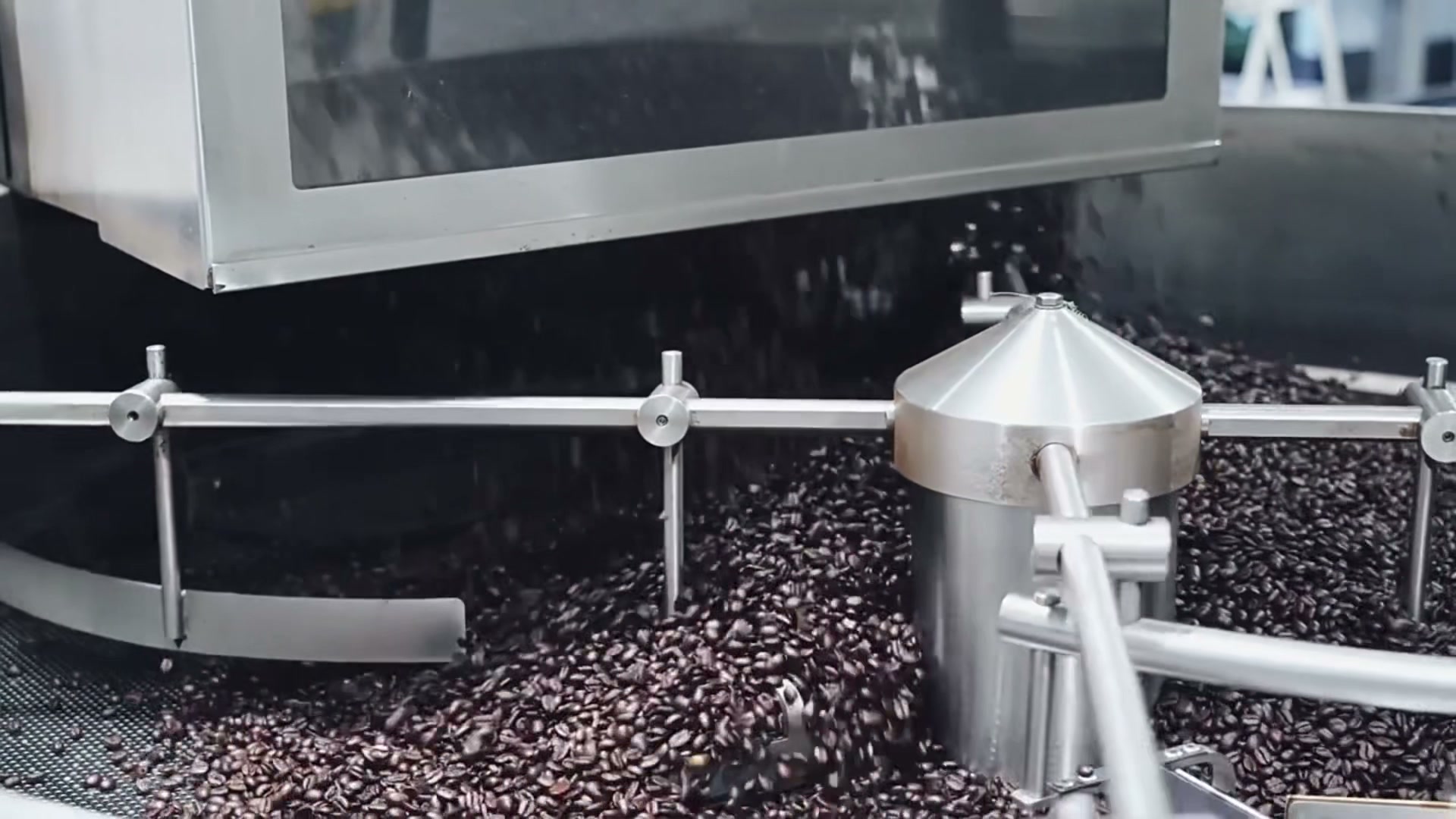 Roasted coffee beans cooling in a production tray